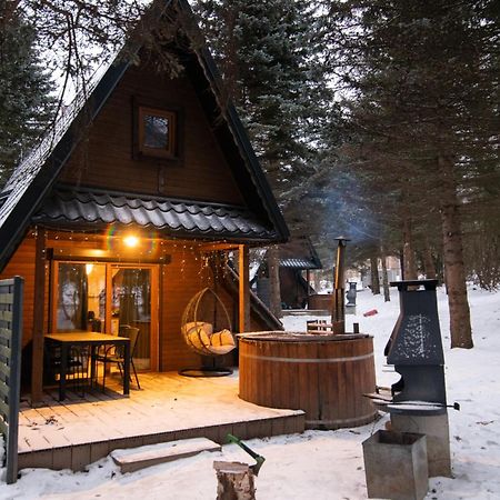 Oliwne Wzgorza Villa Stronie Śląskie Dış mekan fotoğraf