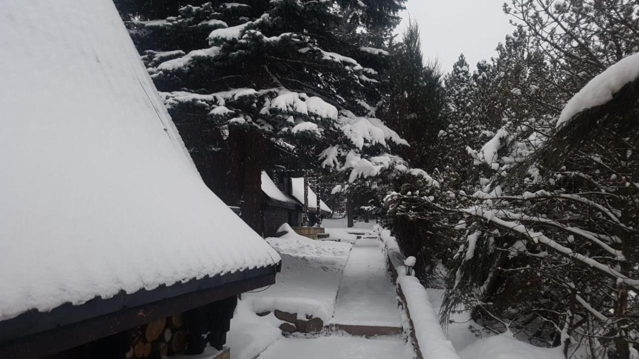 Oliwne Wzgorza Villa Stronie Śląskie Dış mekan fotoğraf