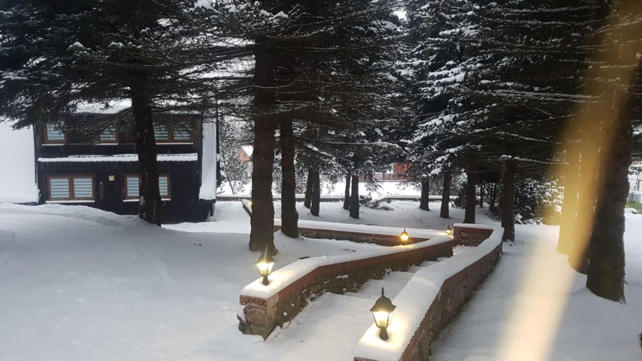 Oliwne Wzgorza Villa Stronie Śląskie Dış mekan fotoğraf