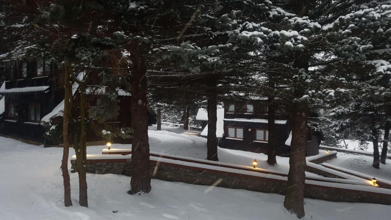 Oliwne Wzgorza Villa Stronie Śląskie Dış mekan fotoğraf